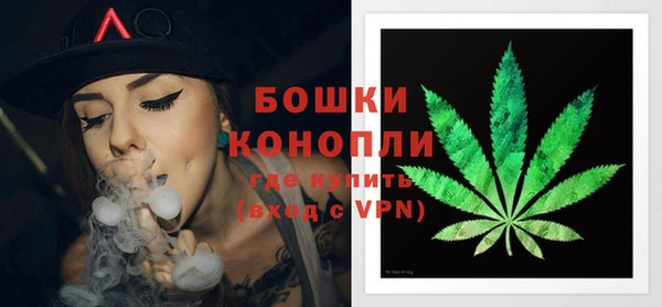 ECSTASY Осинники