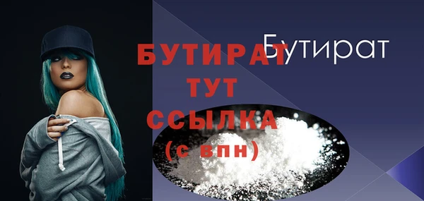 шишки Осташков