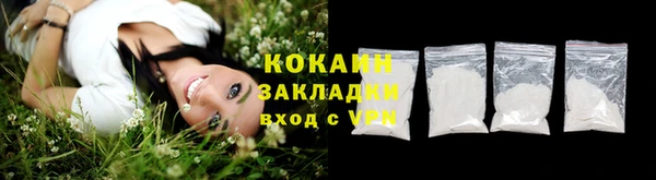 шишки Осташков