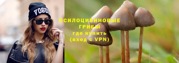 ECSTASY Осинники