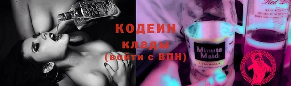 шишки Осташков