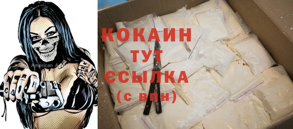 шишки Осташков
