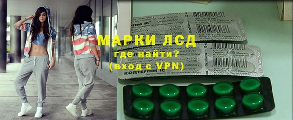 шишки Осташков