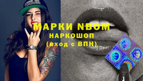 шишки Осташков